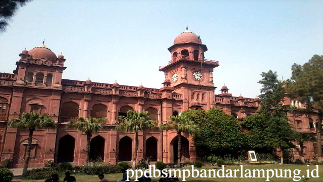 Menyelami Keunggulan dan Daya Tarik University of the Punjab