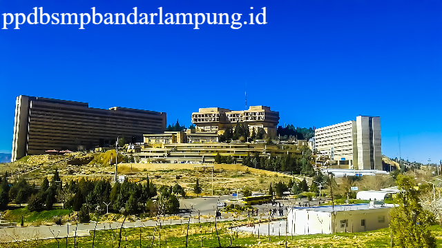 Universitas Shiraz: Pusat Keilmuan dan Inovasi di Iran Selatan